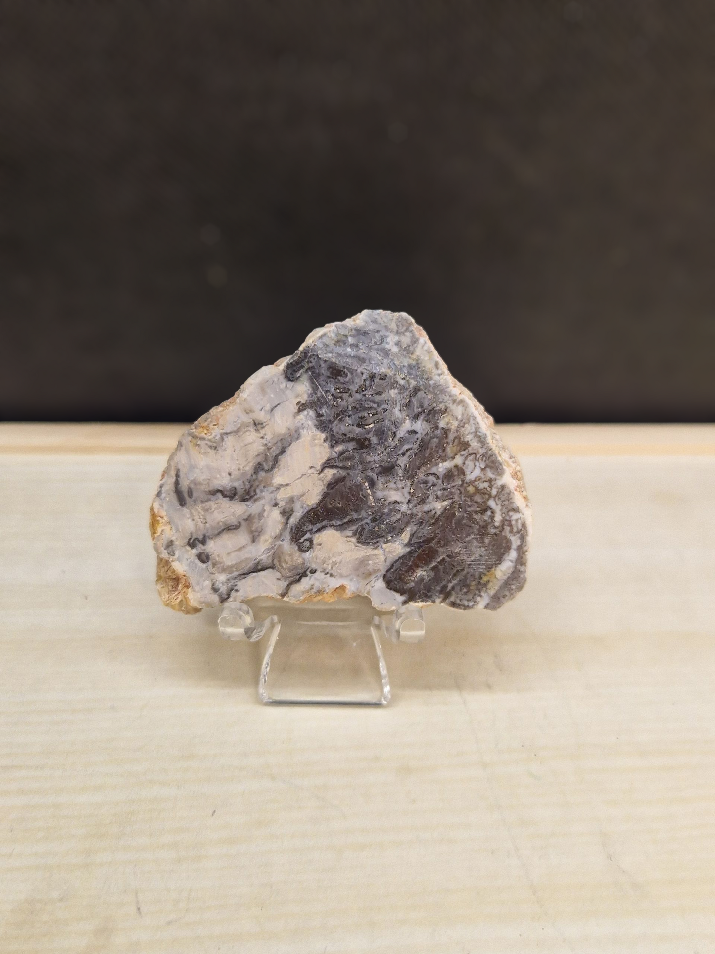 Tranches bois fossile (au choix)