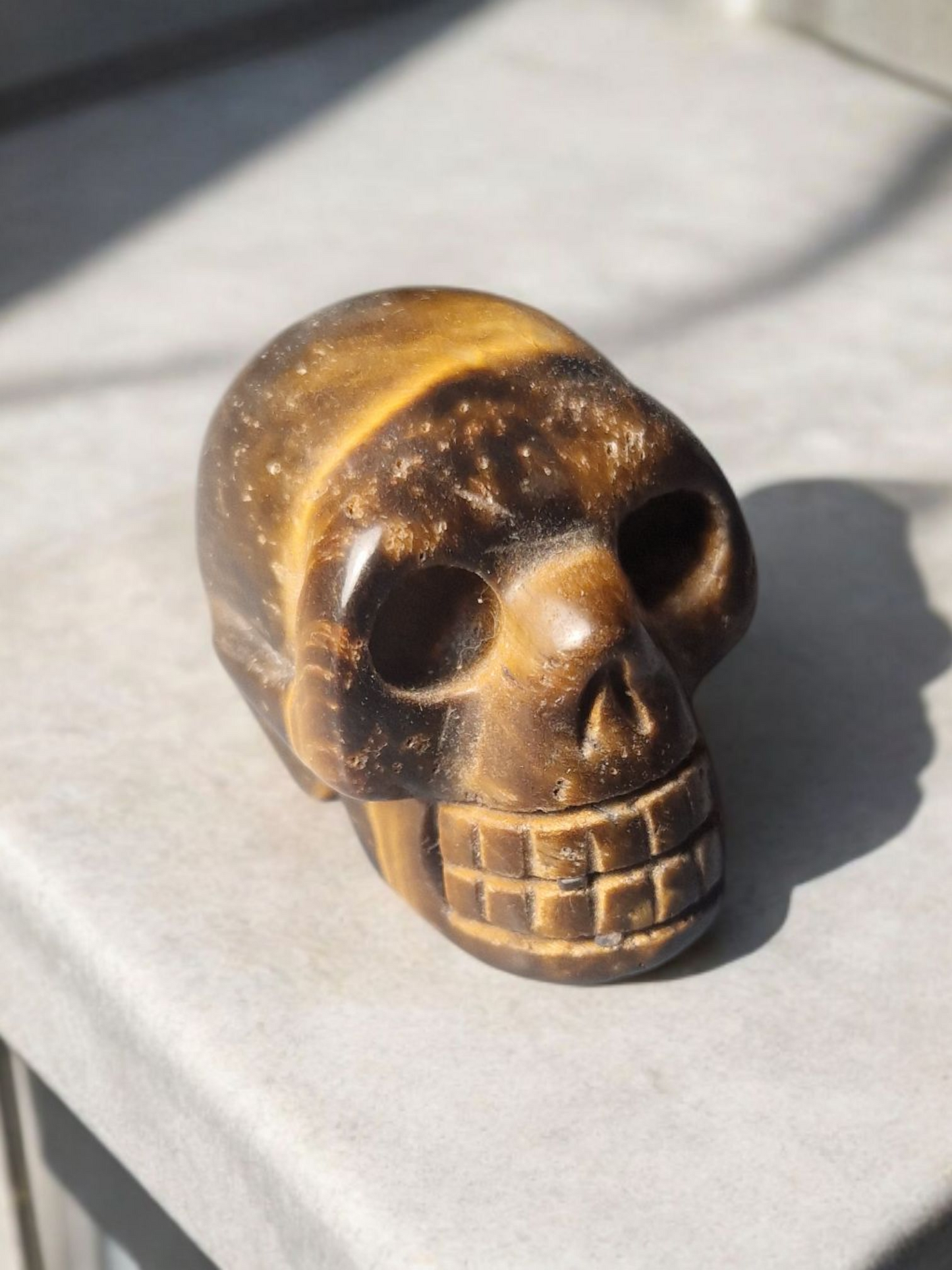 Crâne Oeil de tigre