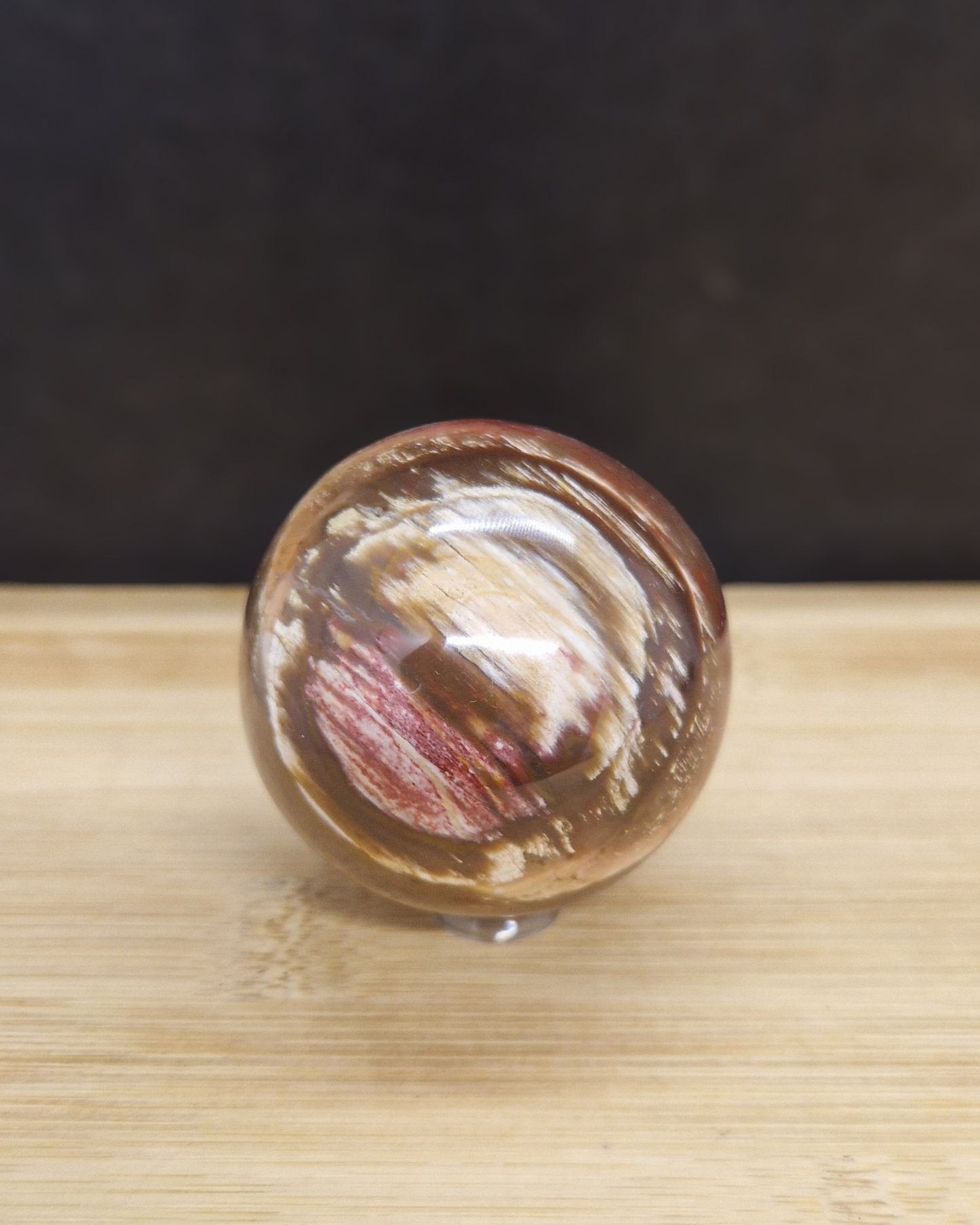 Sphère en bois fossile