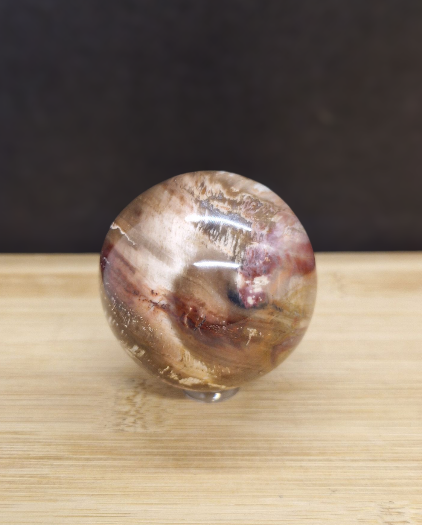 Sphère en bois fossile
