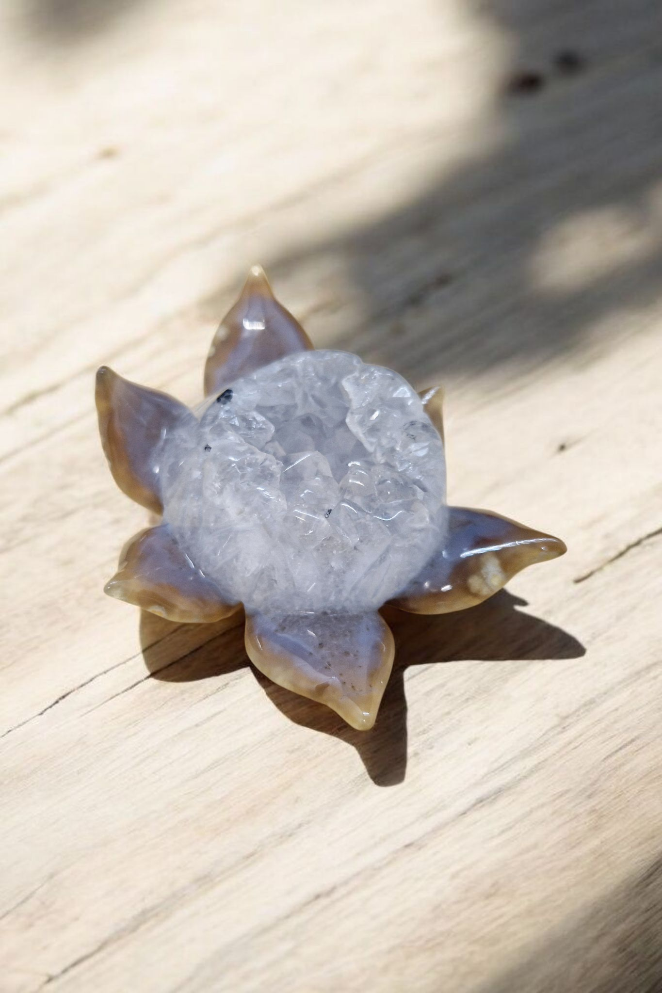 Fleur de lotus Agate