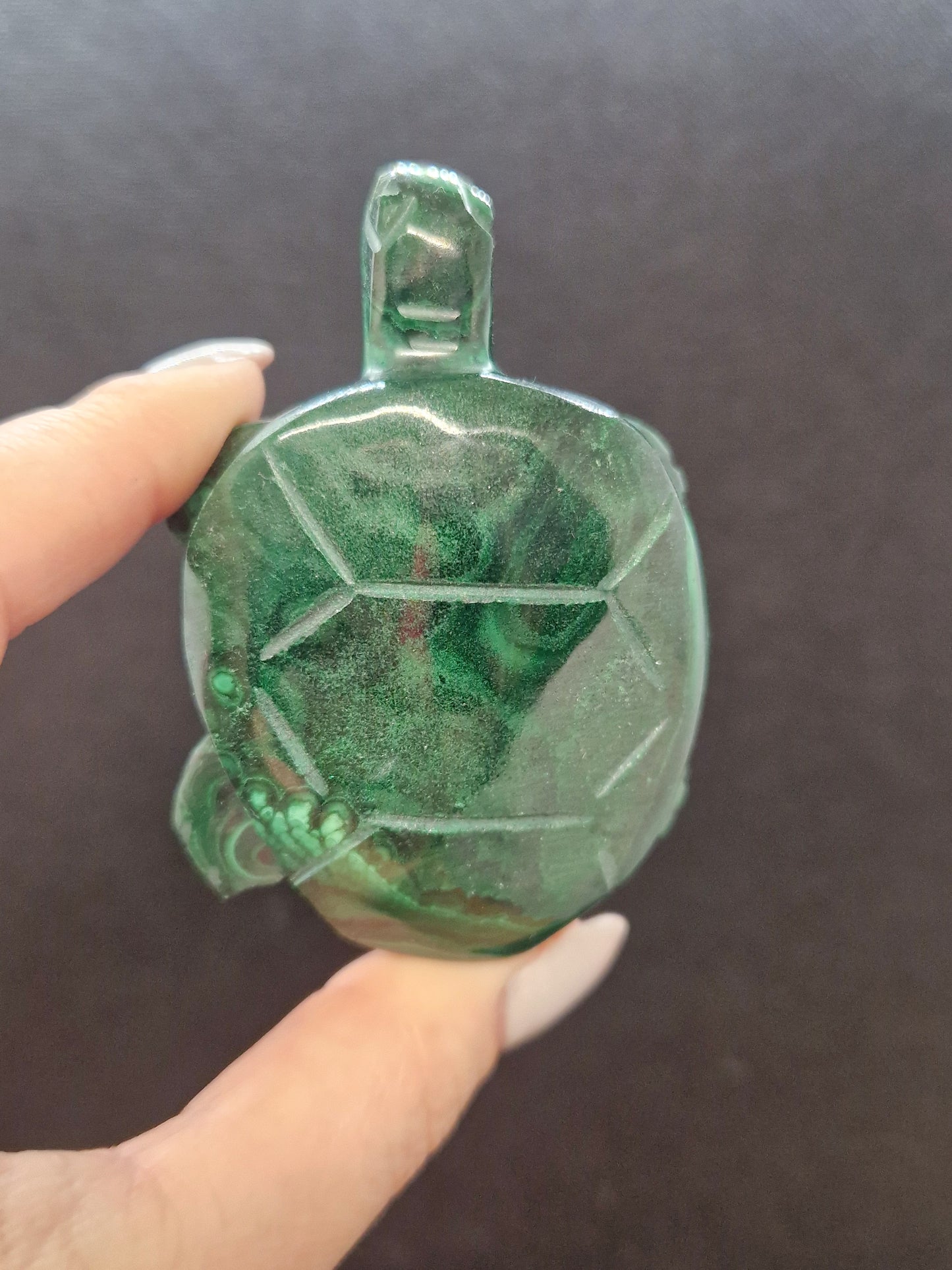 Tortue en Malachite