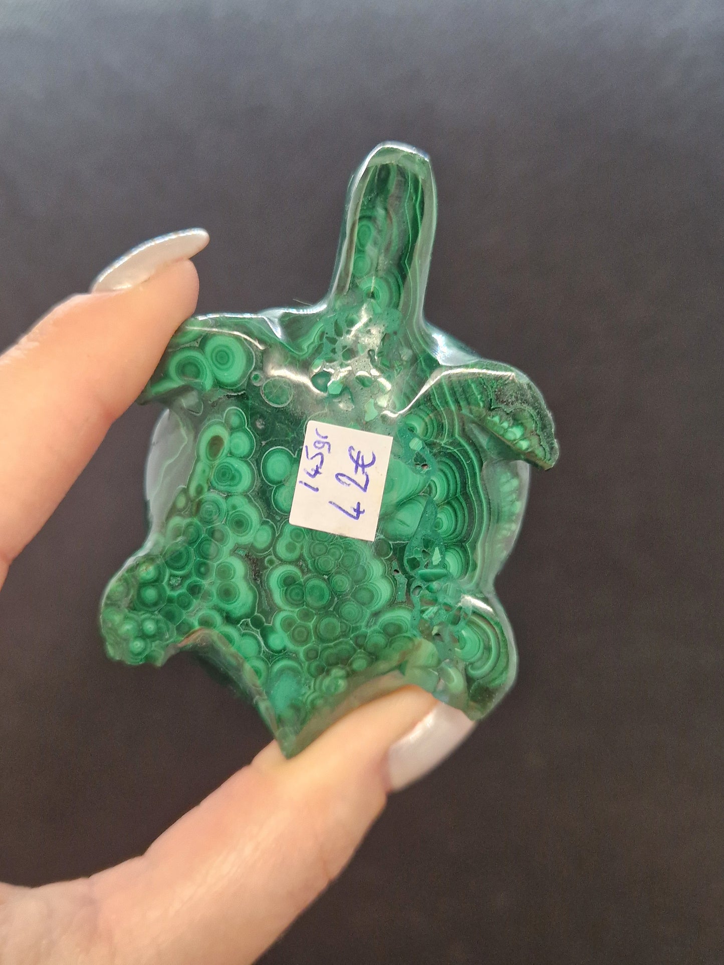 Tortue en Malachite