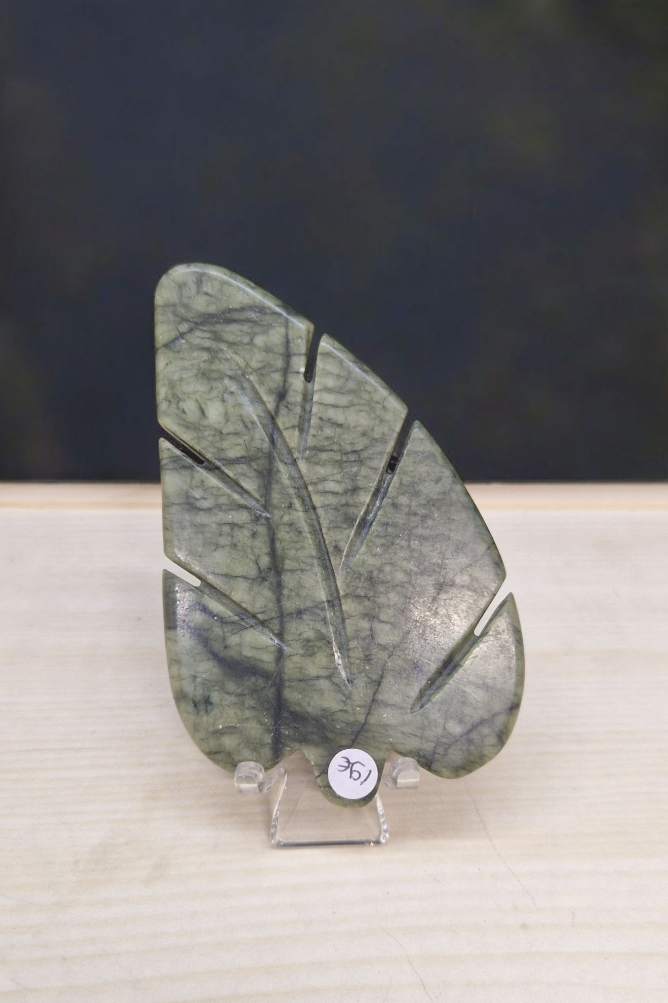 Feuille Jade vert
