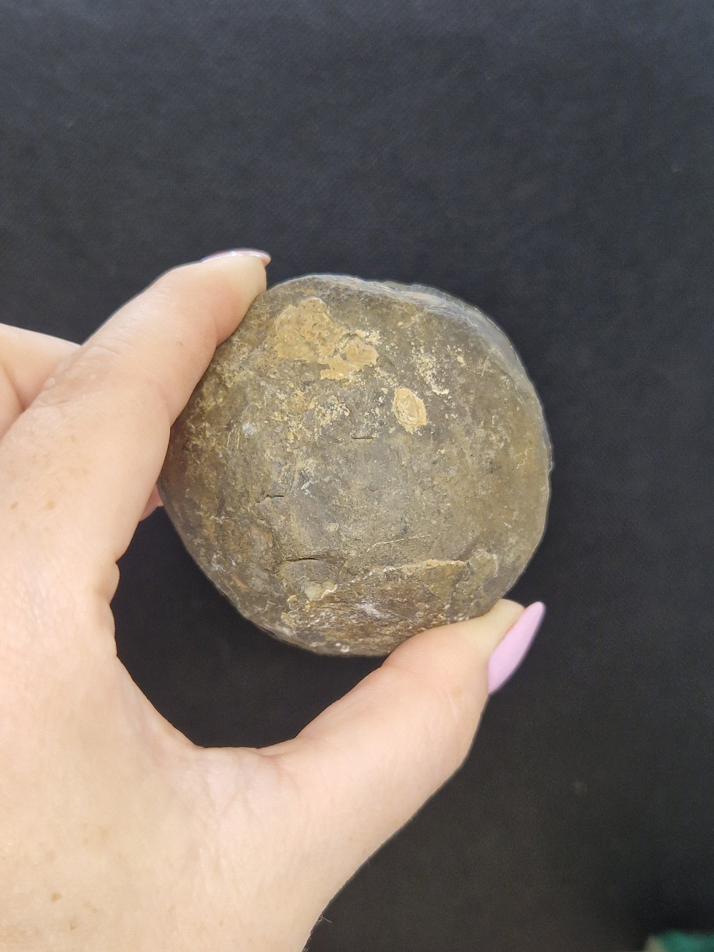 Nodule Septaria semi poli