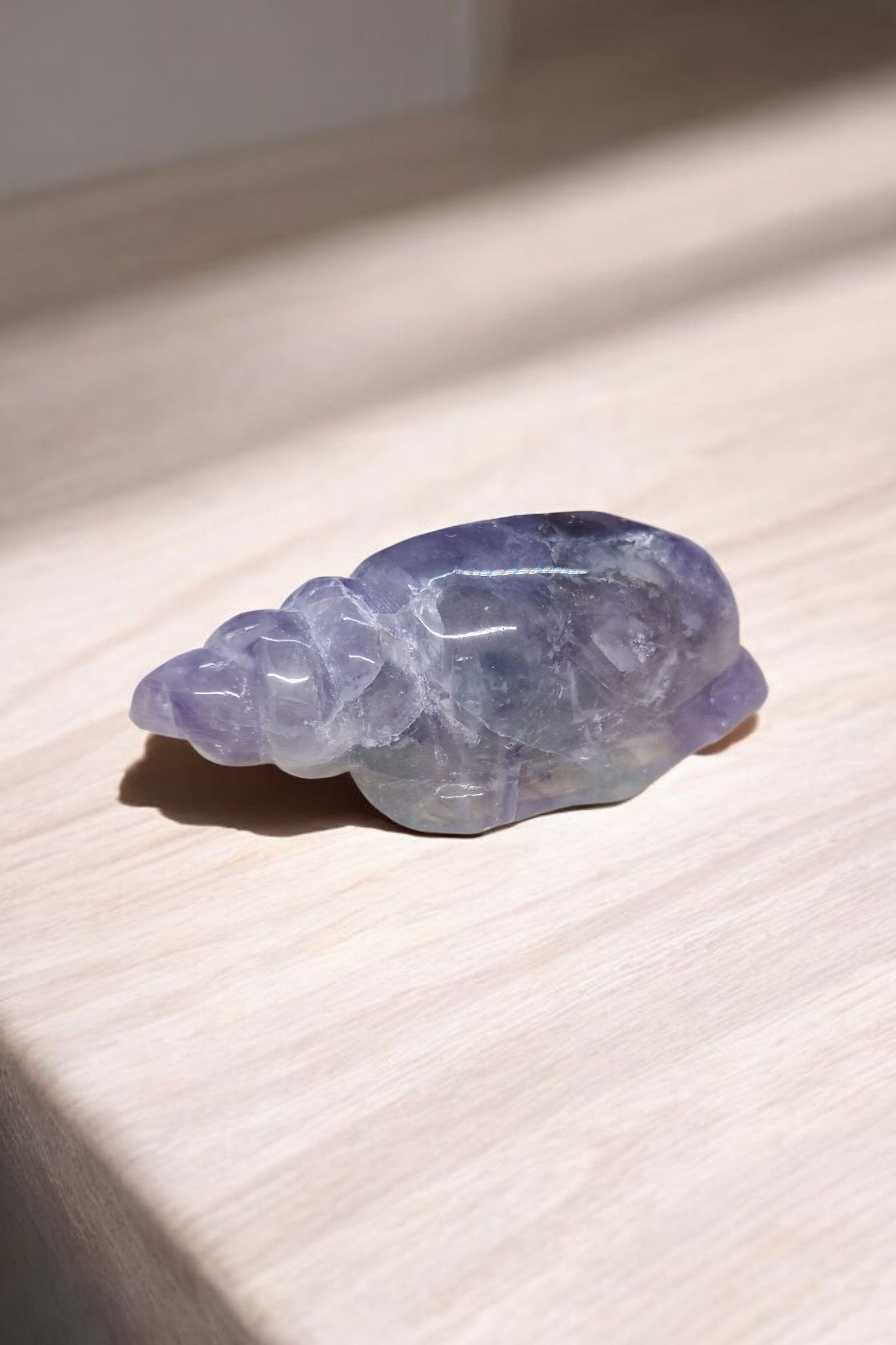 Coquillage Fluorite