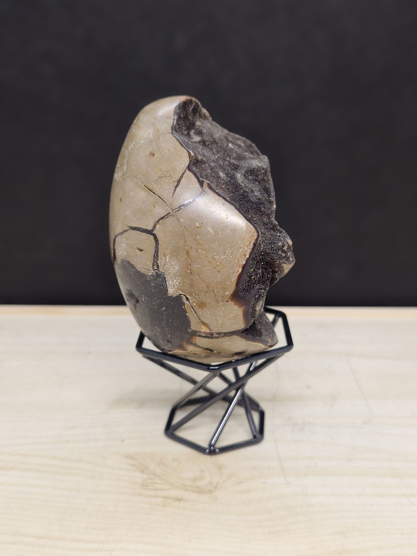 Oeuf en Septaria sauvage