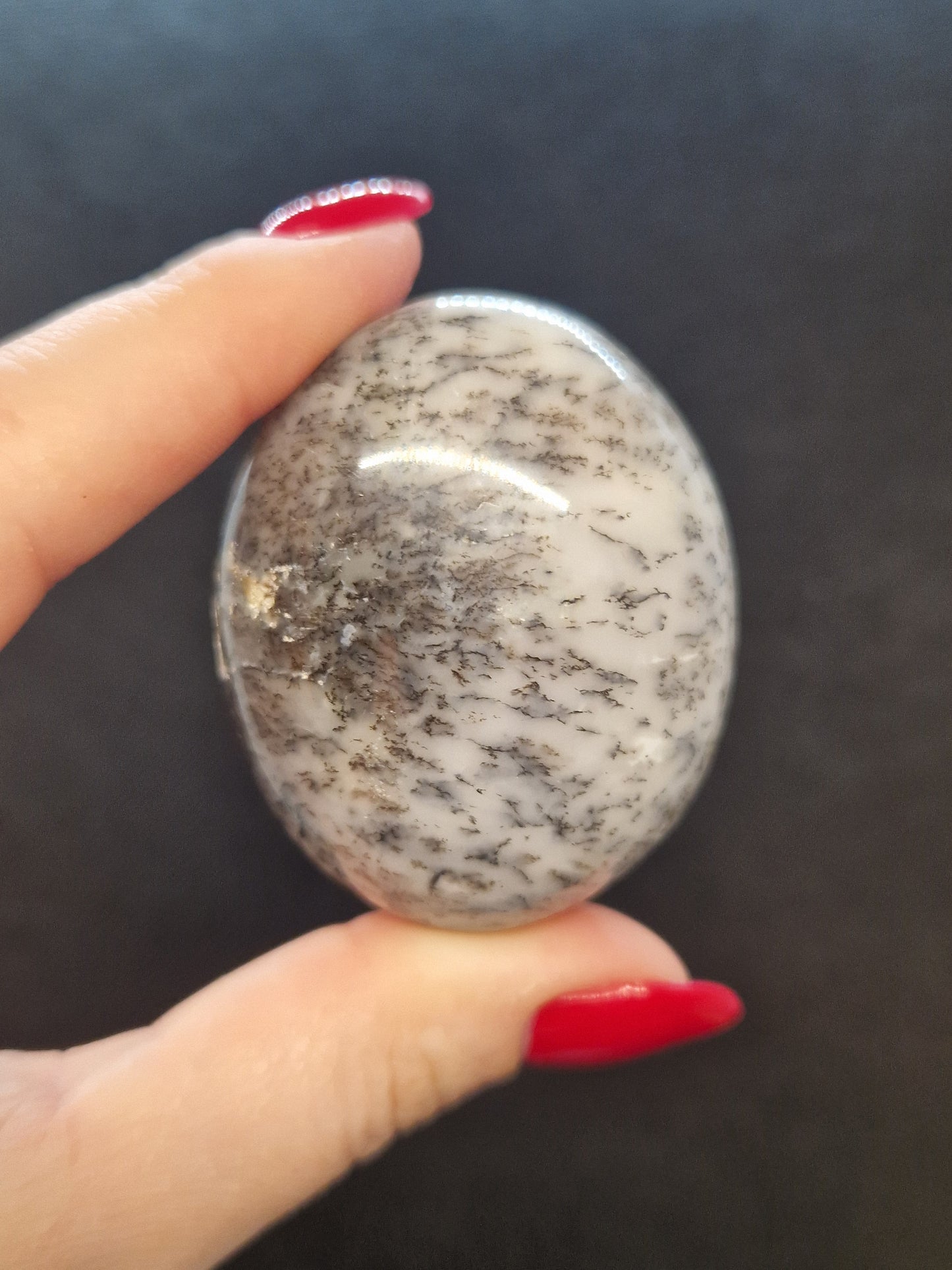 Galets Agate Dendritique