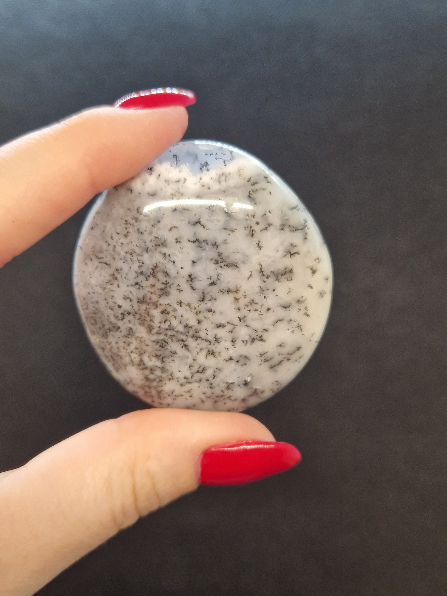 Galets Agate Dendritique