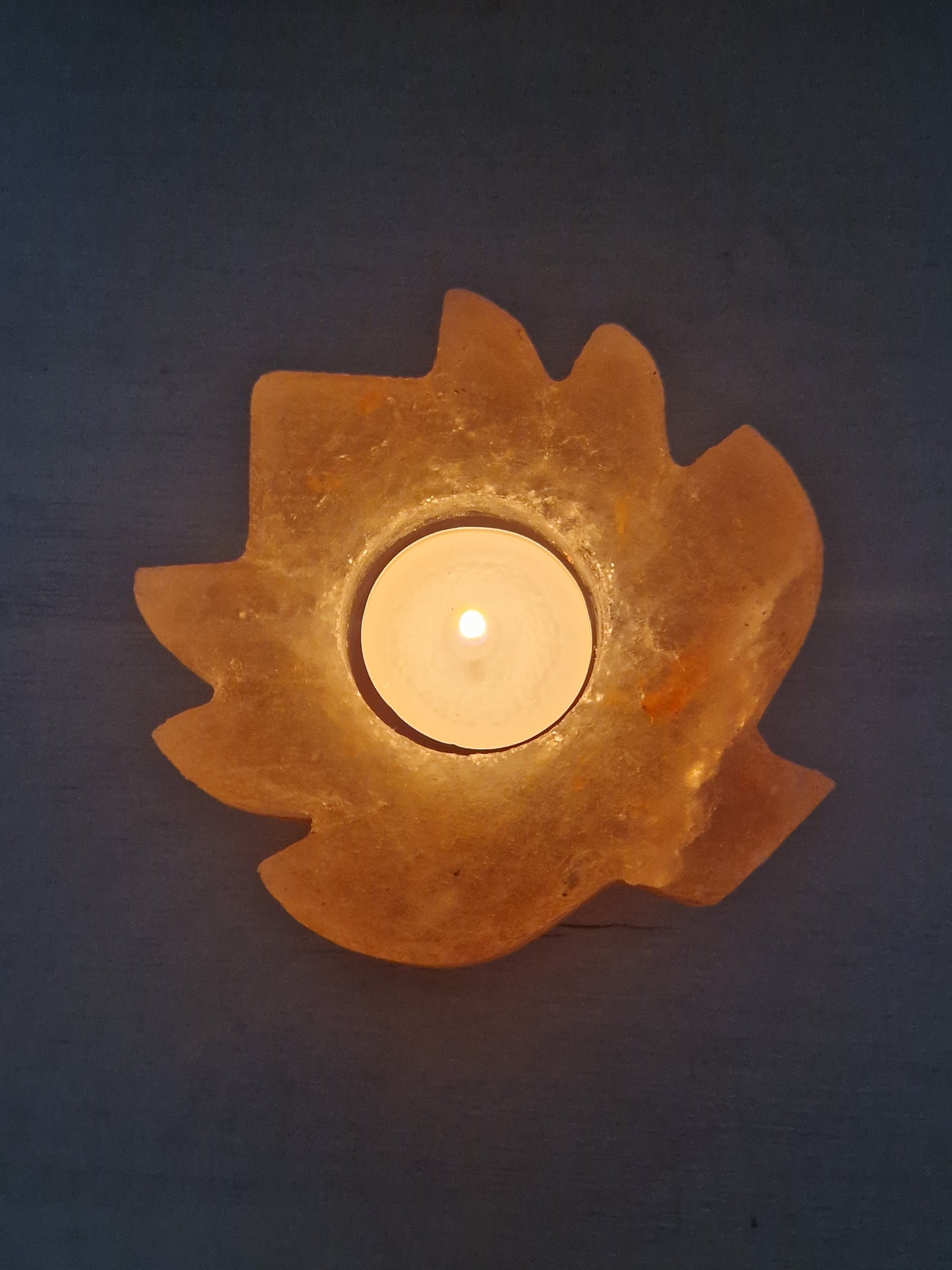 Bougeoir Feuille en sel rose