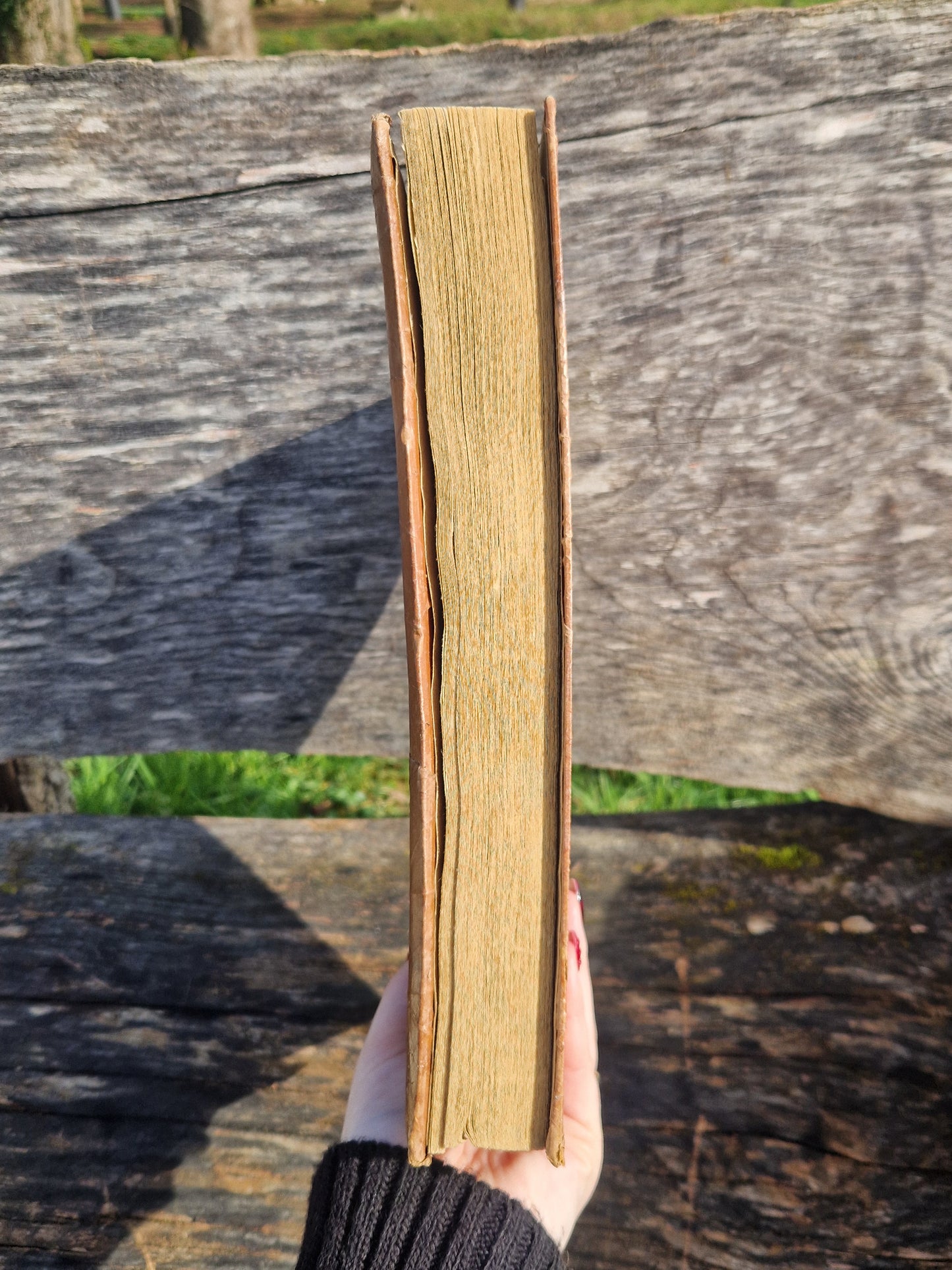 Grimoire Triquetra