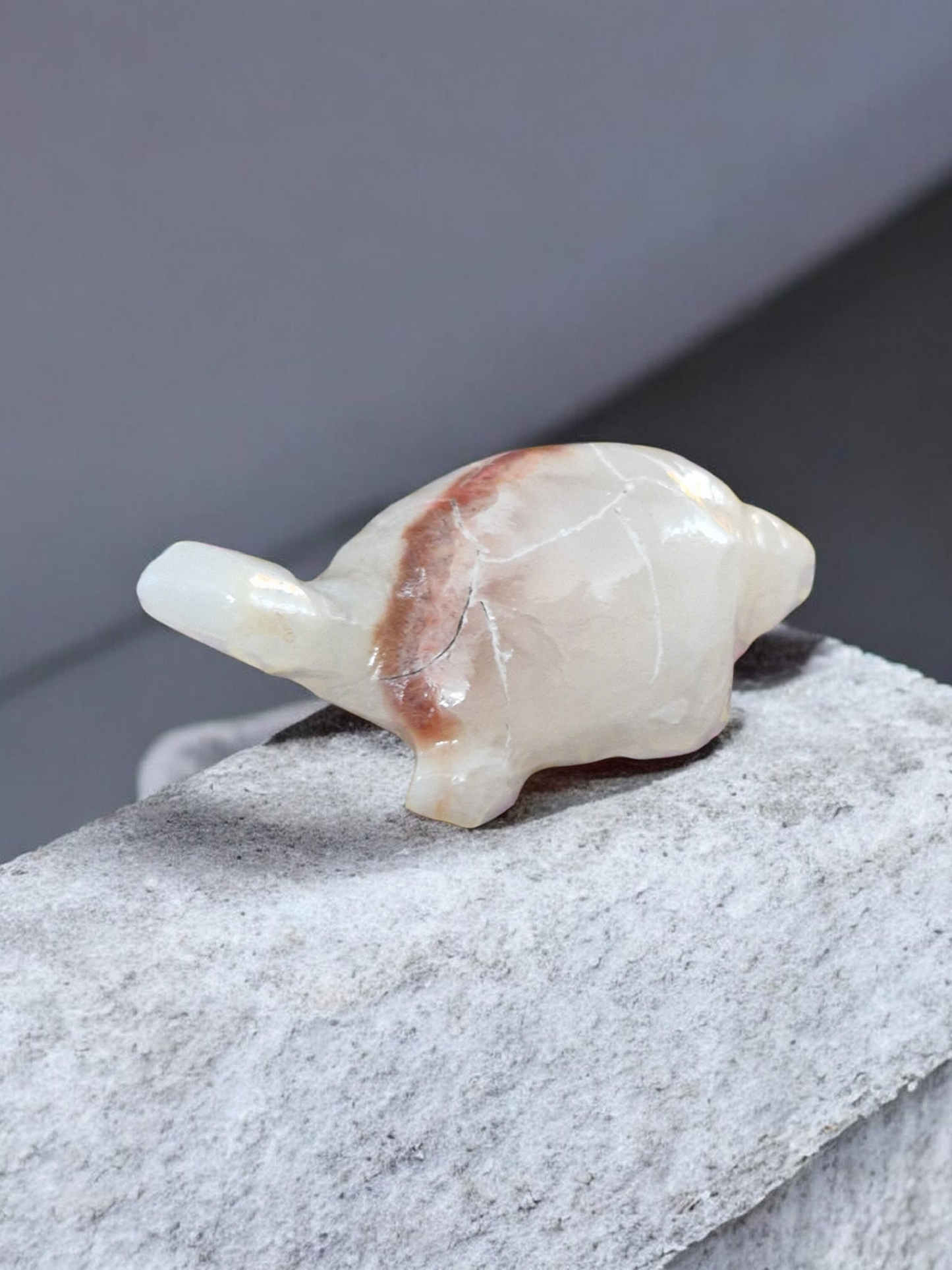 Tortues Calcite & Aragonite