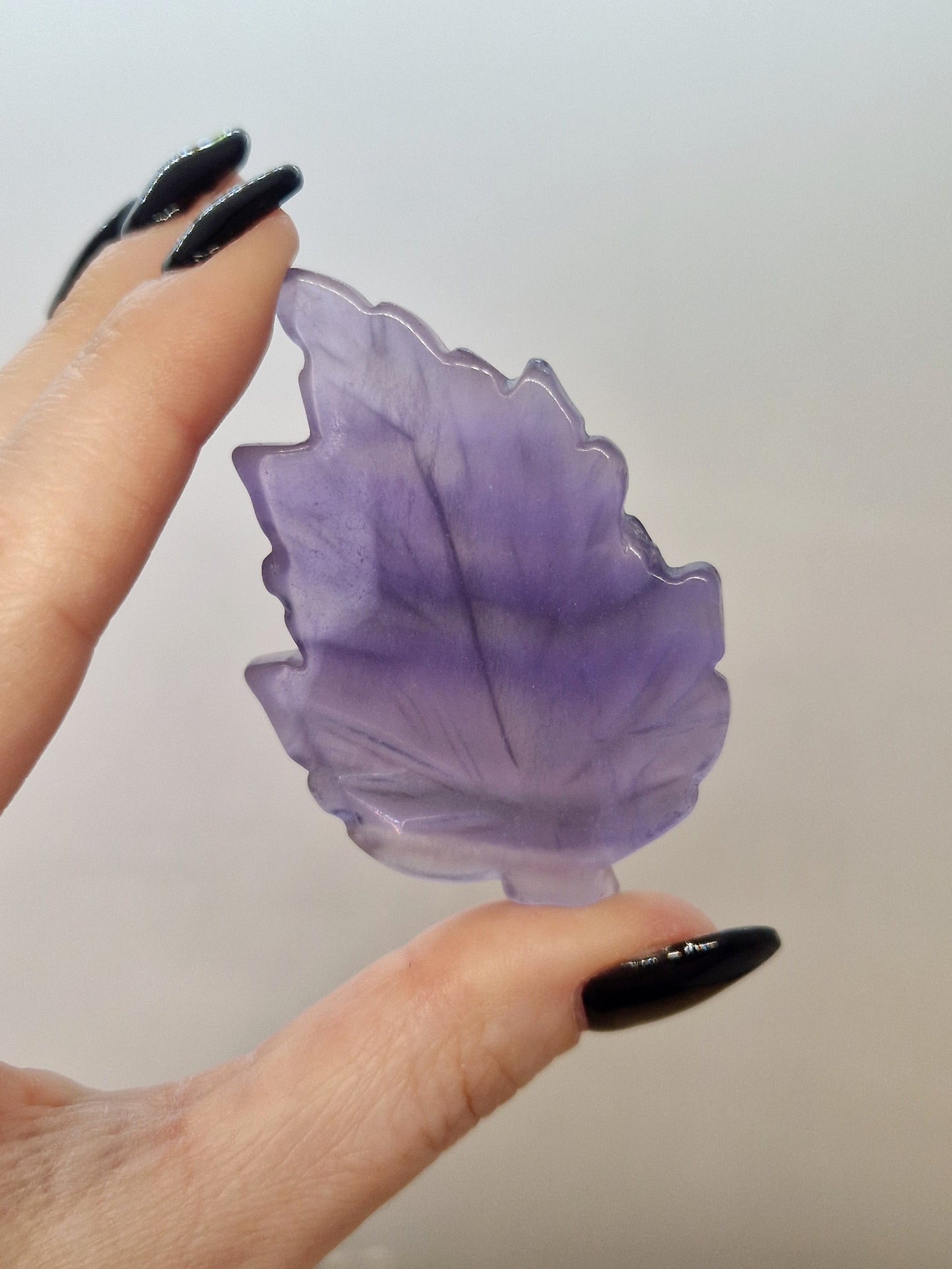 Feuille Fluorite