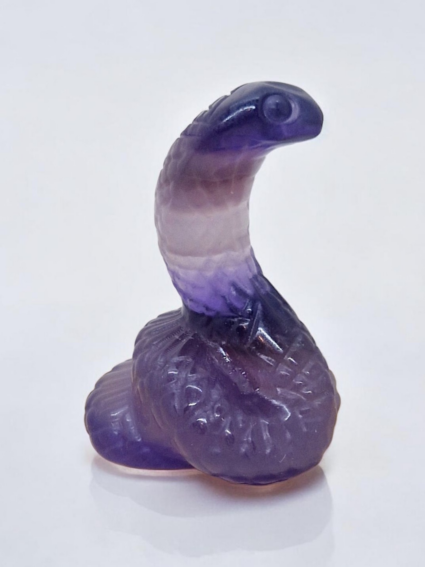 Serpent Fluorite