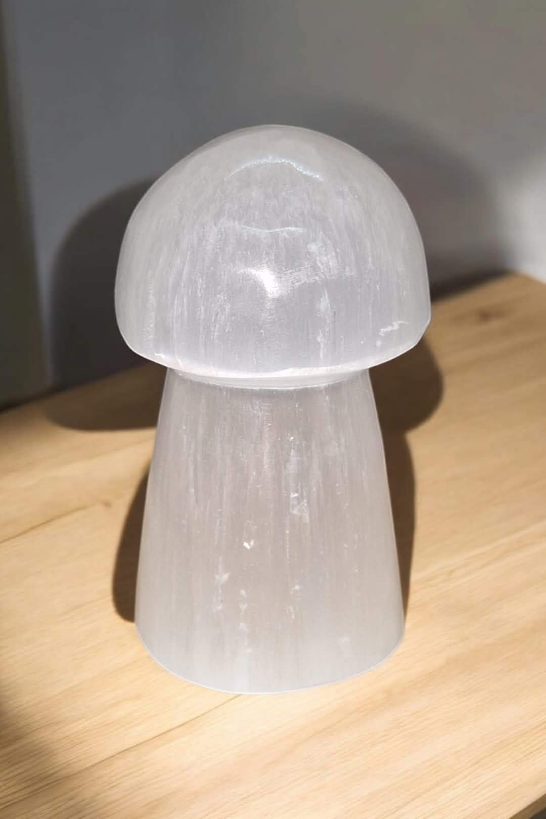 Champignon gypse fibreux