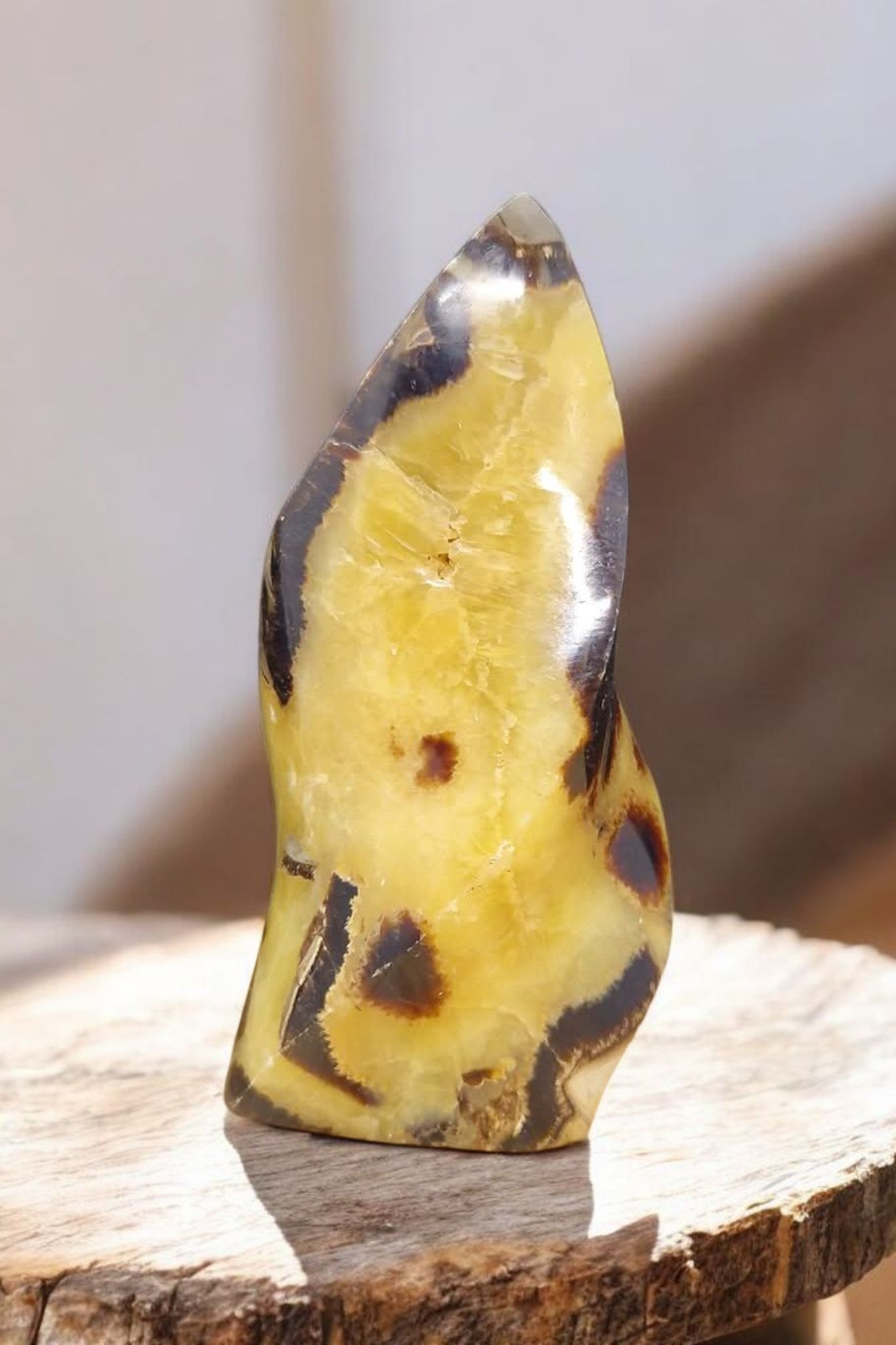 Flamme Septaria