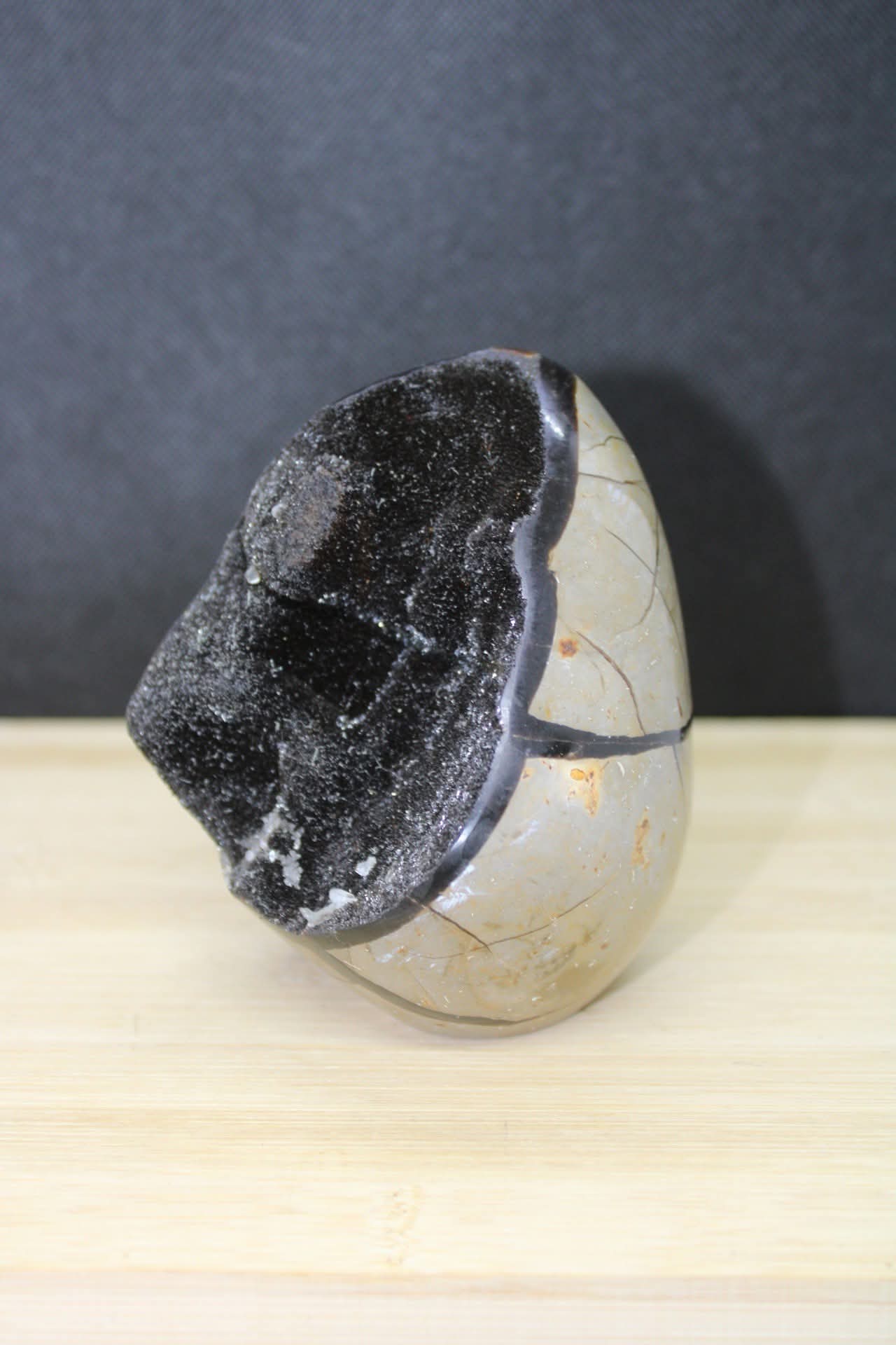Oeuf Septaria sauvage