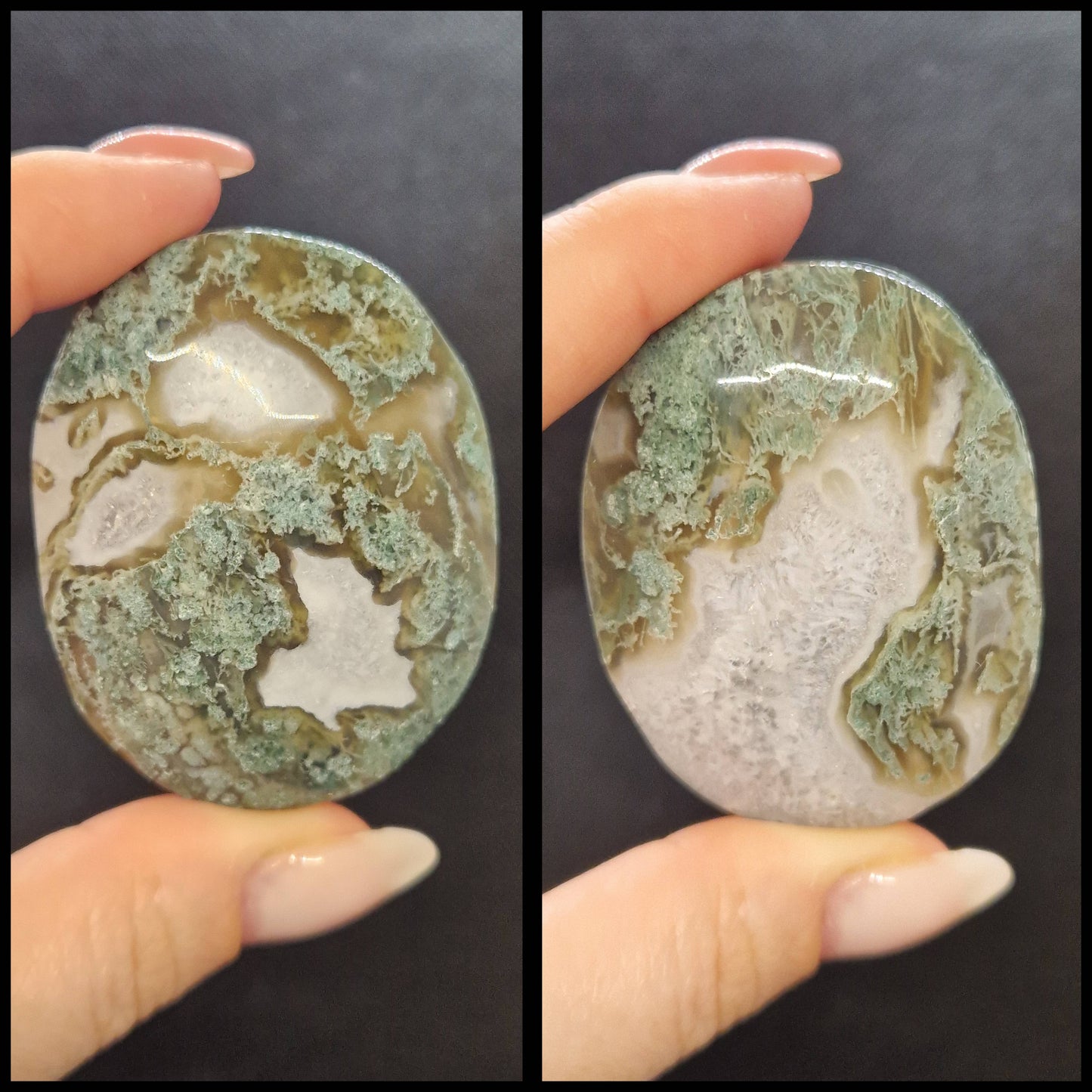 Galet Agate arbre / mousse