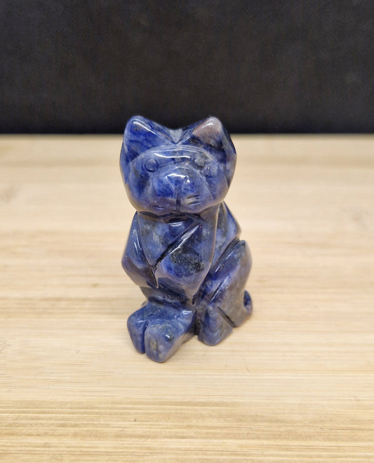 Chat en Sodalite