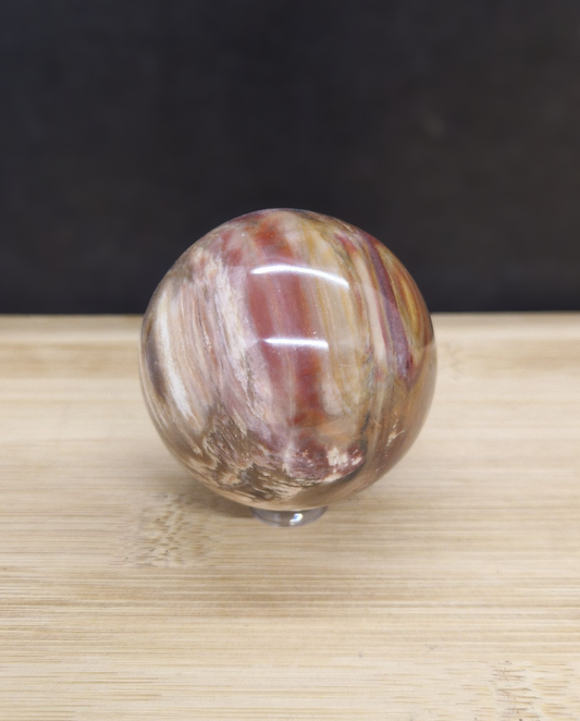 Sphère en bois fossile