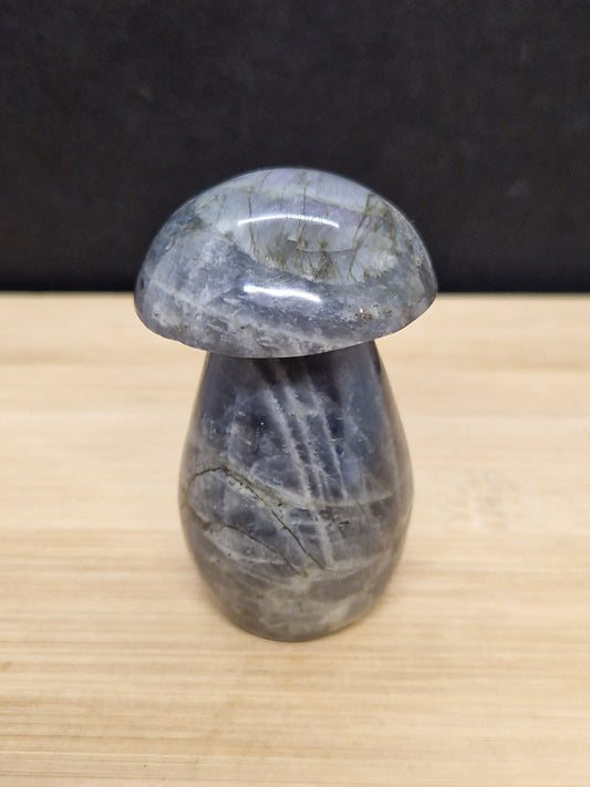 Champignon en Labradorite violette