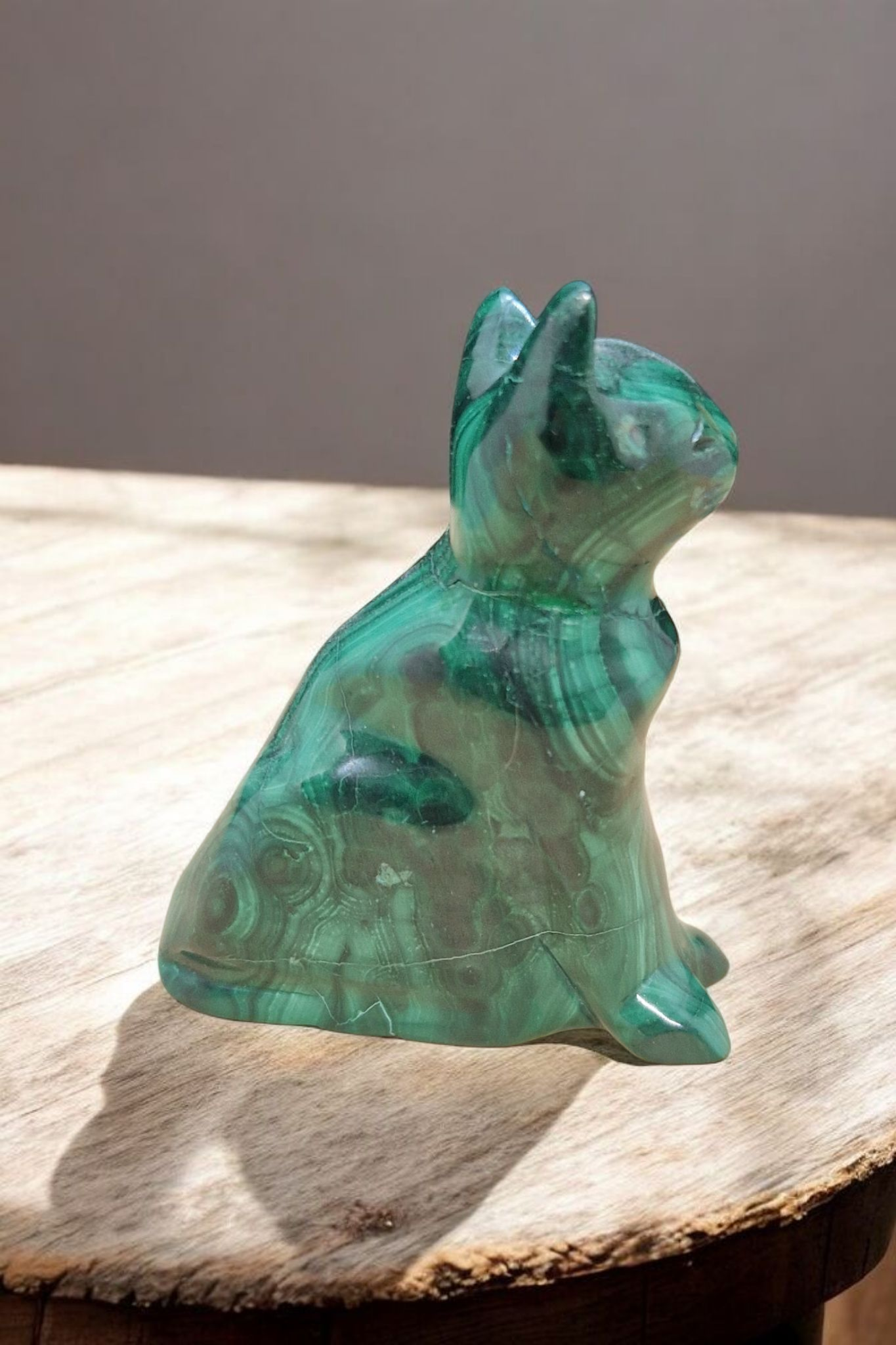 Chat en Malachite