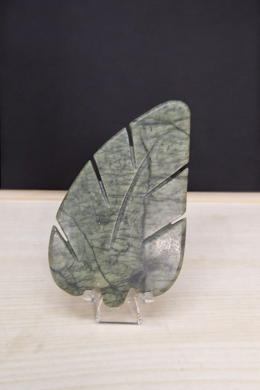 Feuille Jade vert