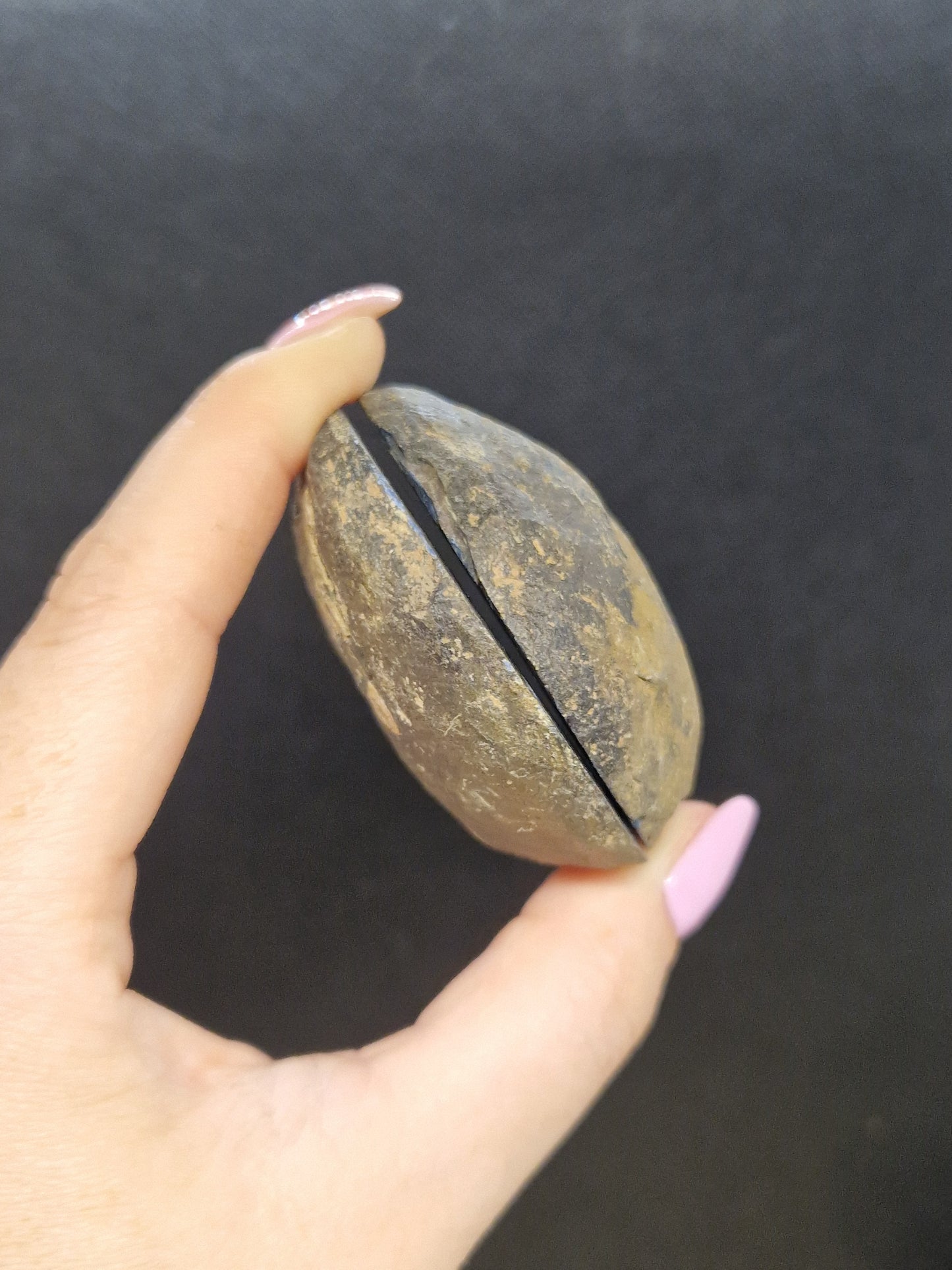 Nodule Septaria semi poli