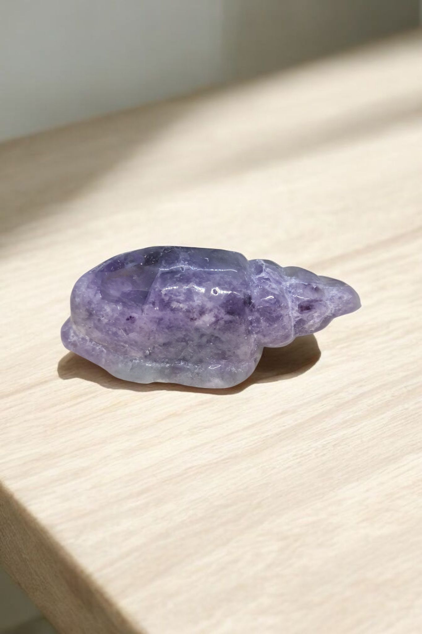 Coquillage Fluorite