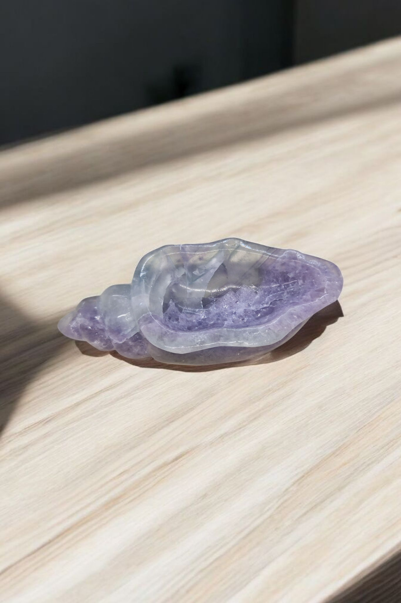 Coquillage Fluorite