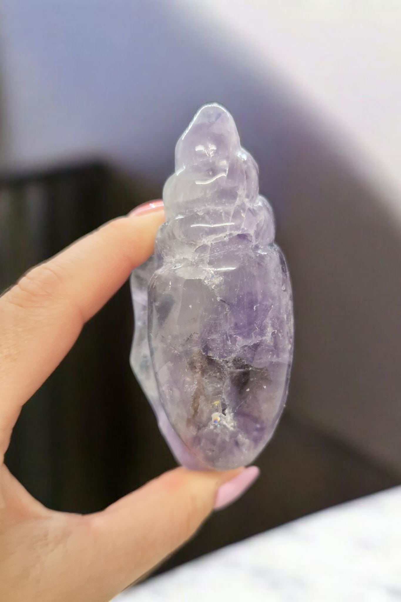 Coquillage Fluorite
