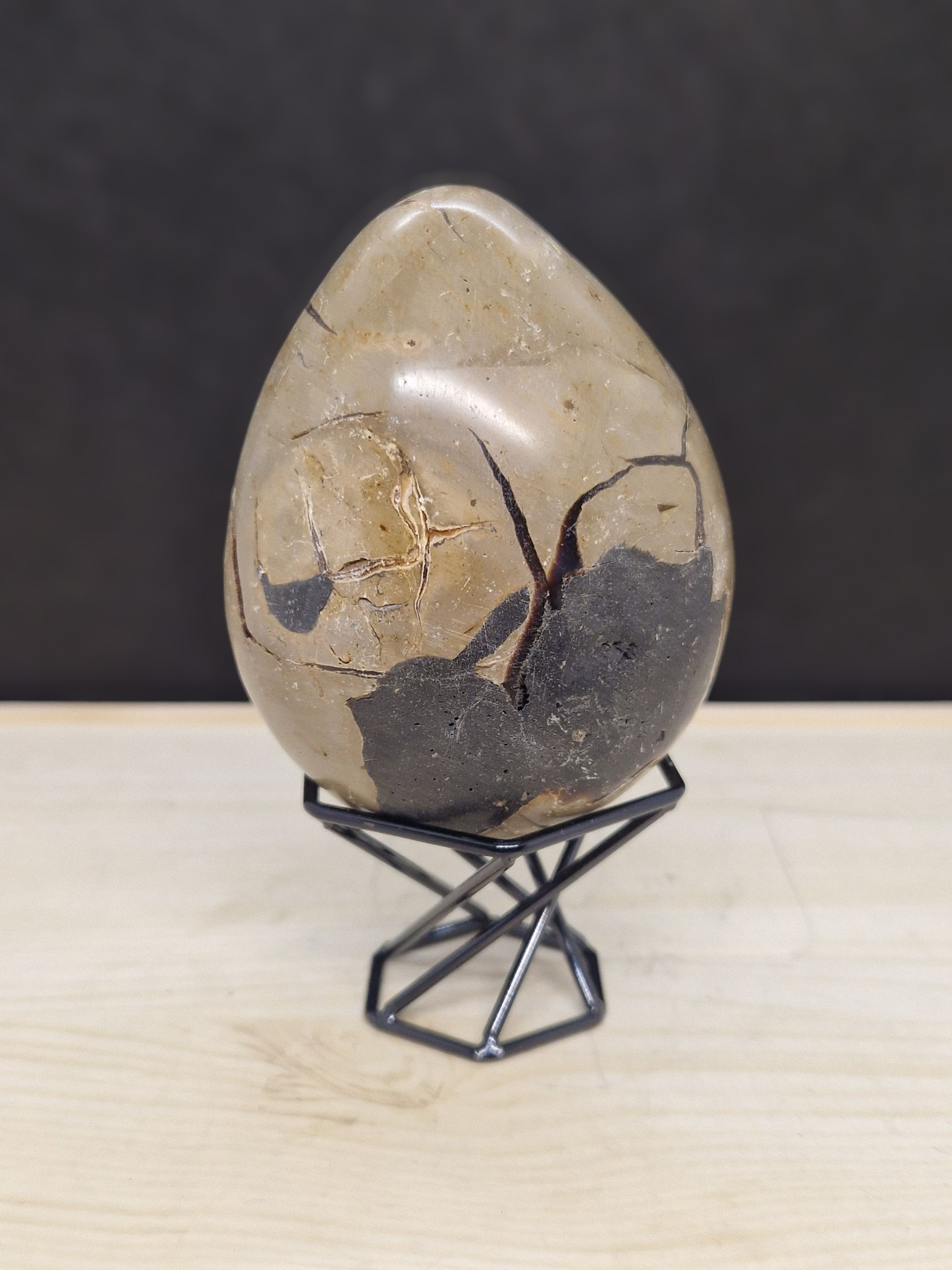 Oeuf en Septaria sauvage