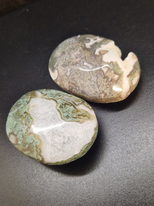 Galet Agate arbre / mousse