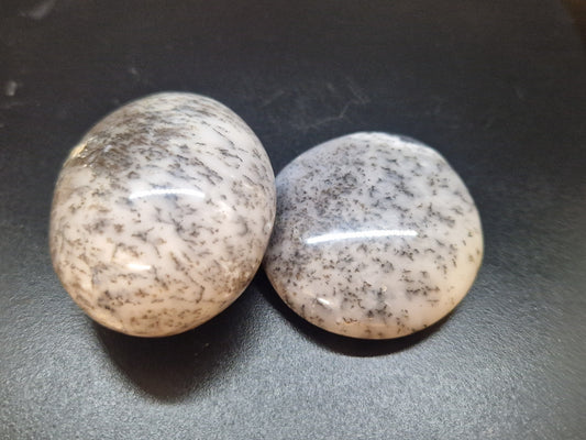 Galets Agate Dendritique