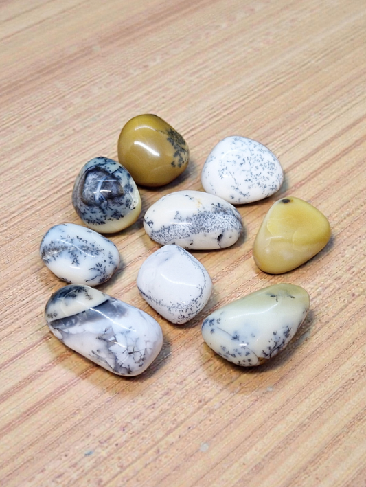 Pierres roulées Agate Dendritique