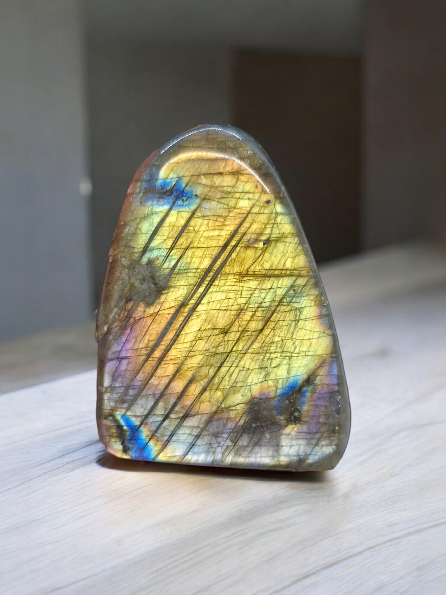 Forme libre Labradorite
