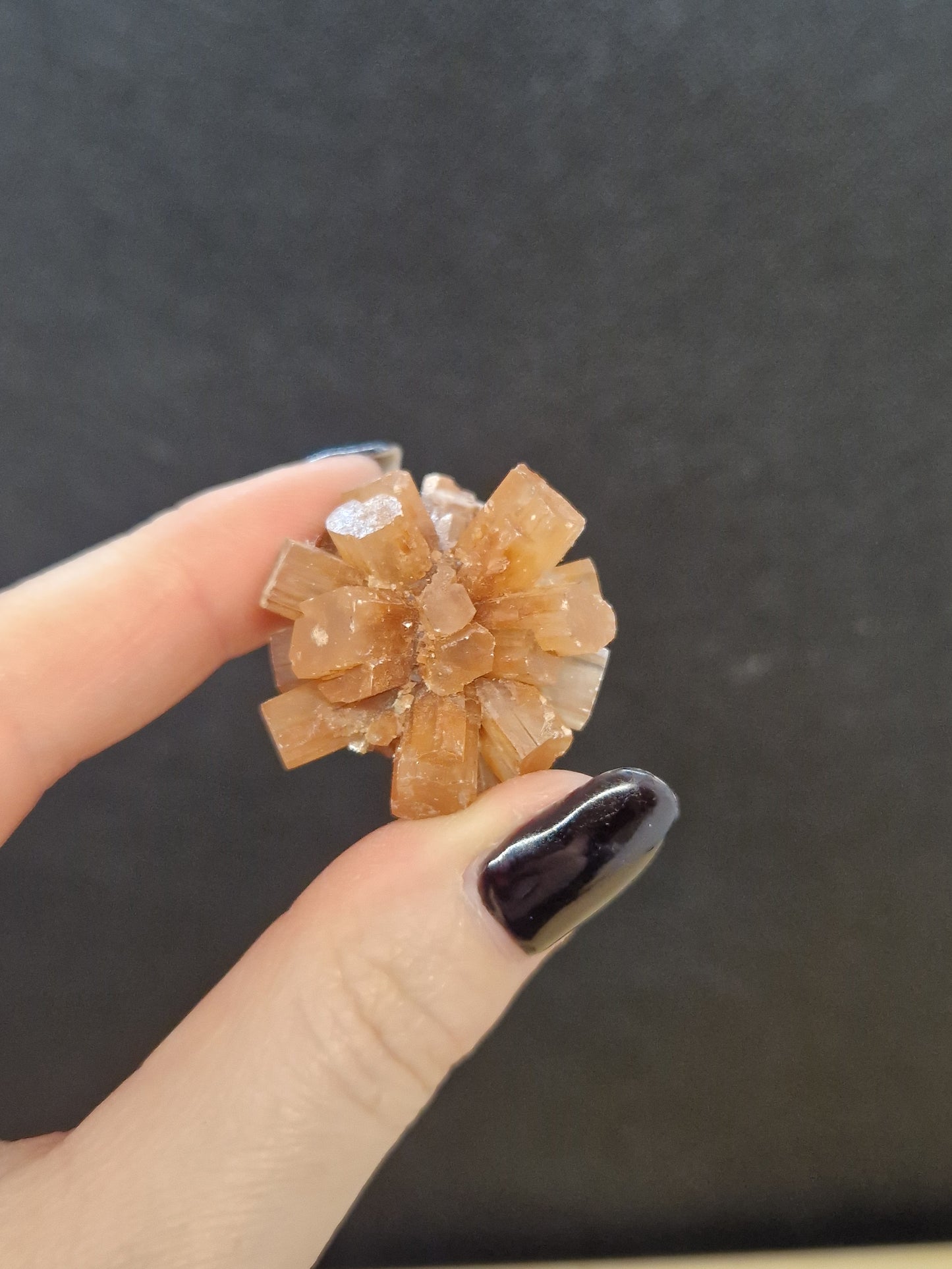 Aragonite brute