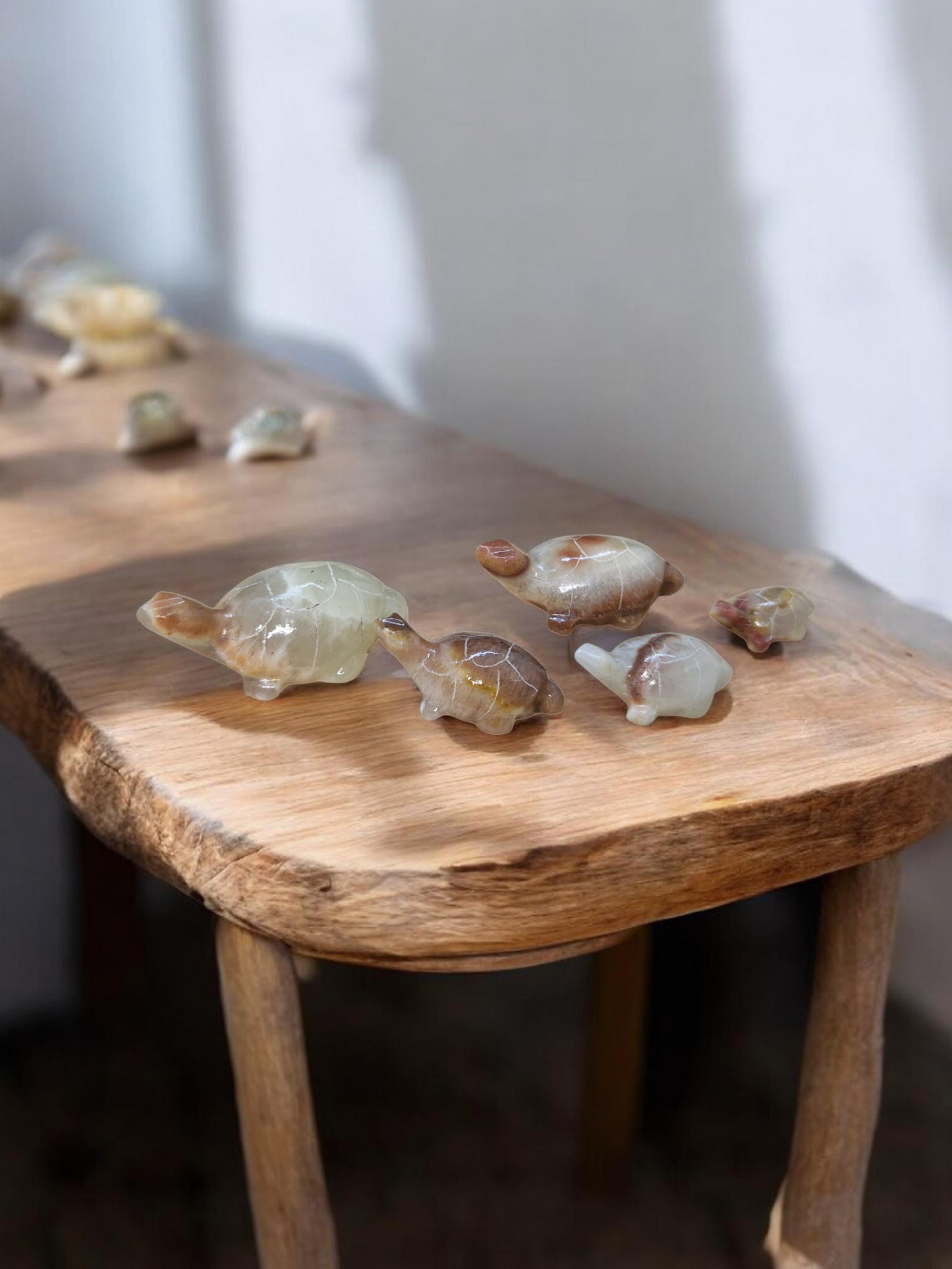 Tortues Calcite & Aragonite