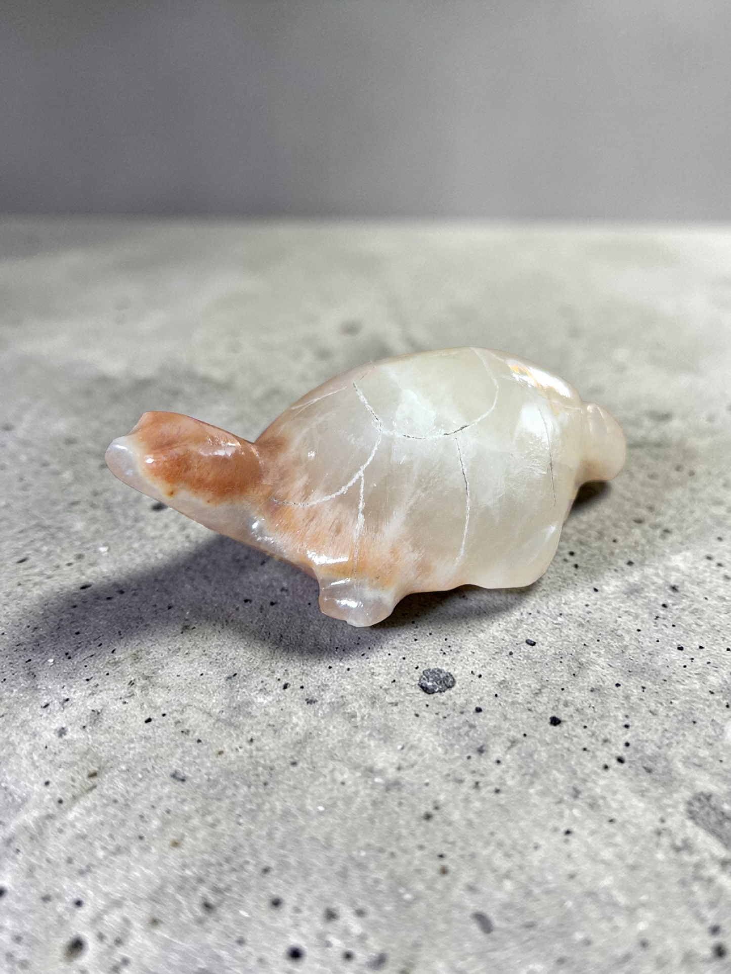 Tortues Calcite & Aragonite