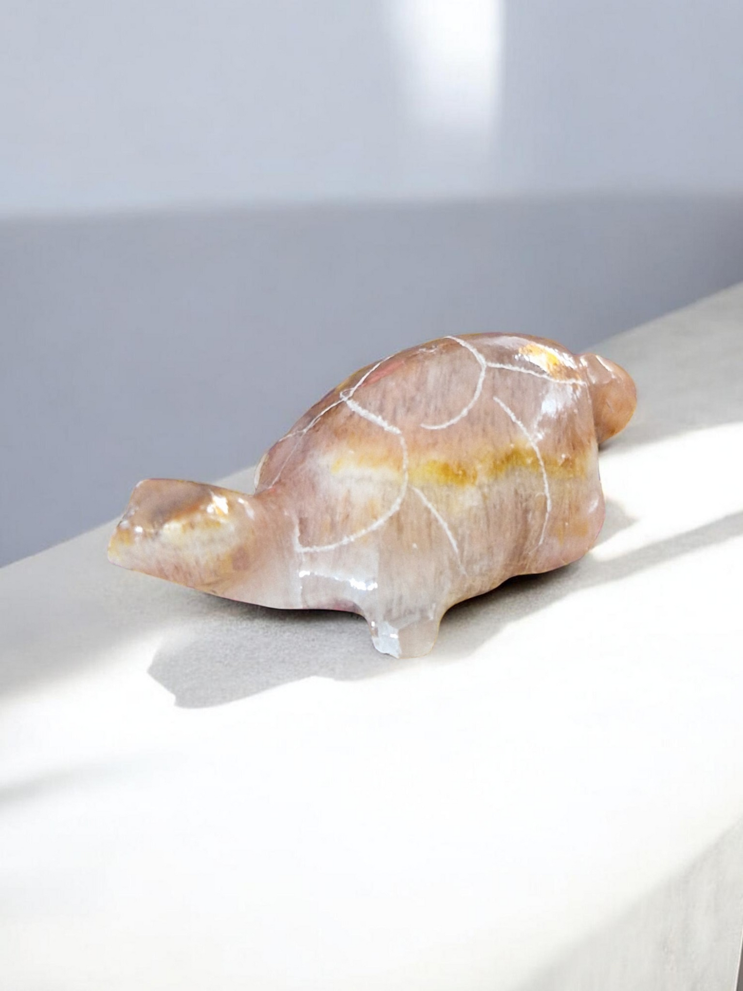 Tortues Calcite & Aragonite