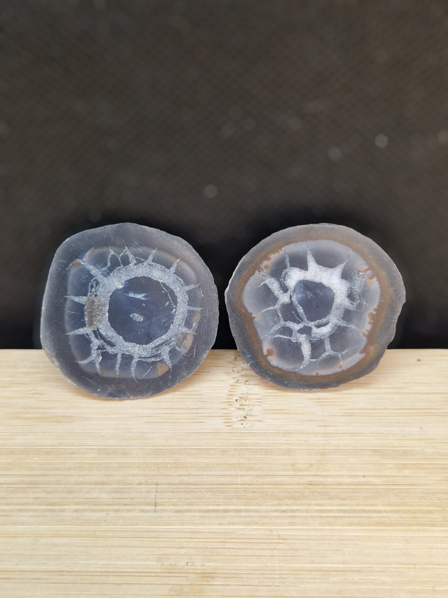 Nodule Septaria semi poli