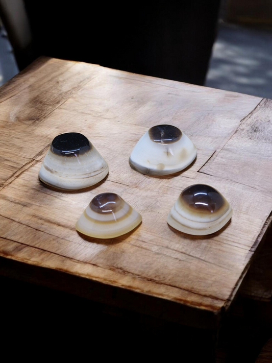 Agate Oeil