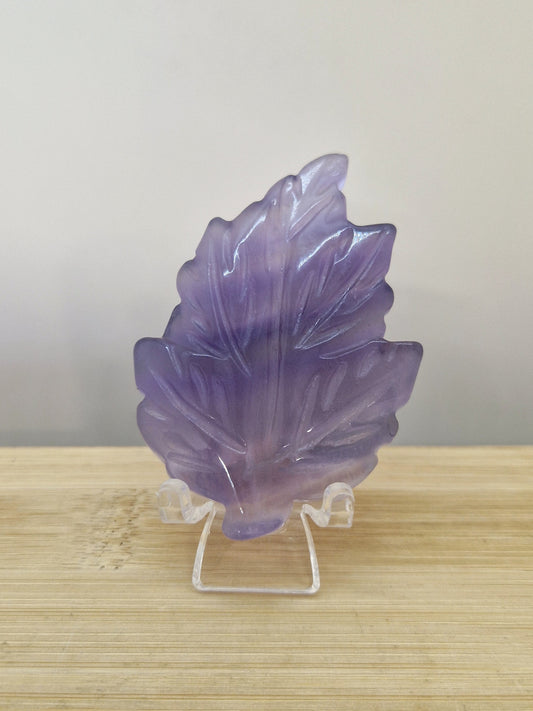 Feuille Fluorite