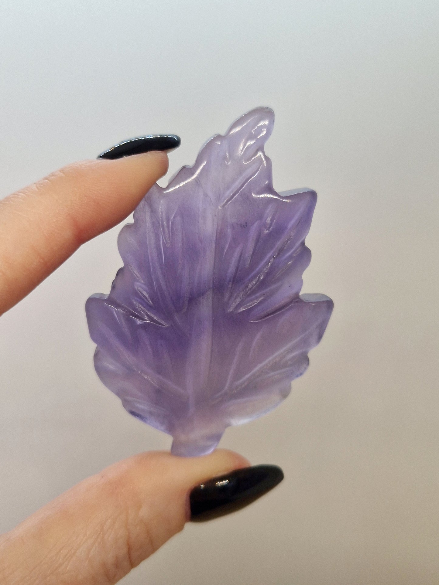Feuille Fluorite