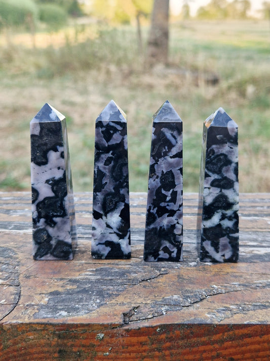 Pointes Gabbro