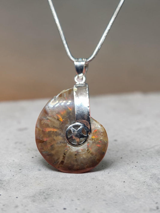 Pendentif Ammonite