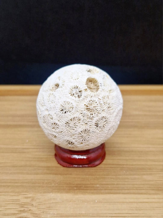 Sphère en Corail fossile