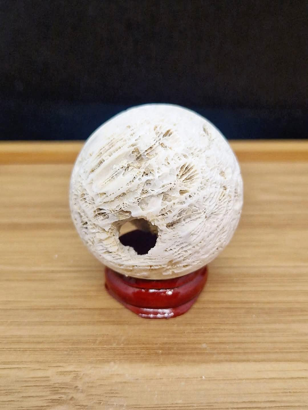 Sphère en Corail fossile