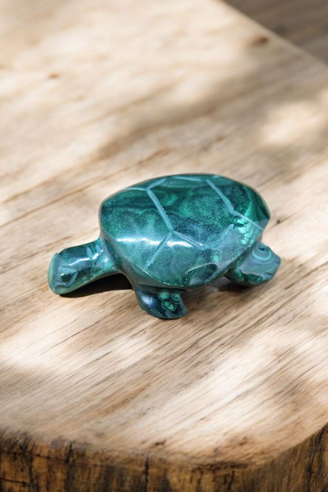 Tortue en Malachite