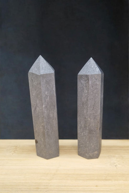 Pointe Shungite